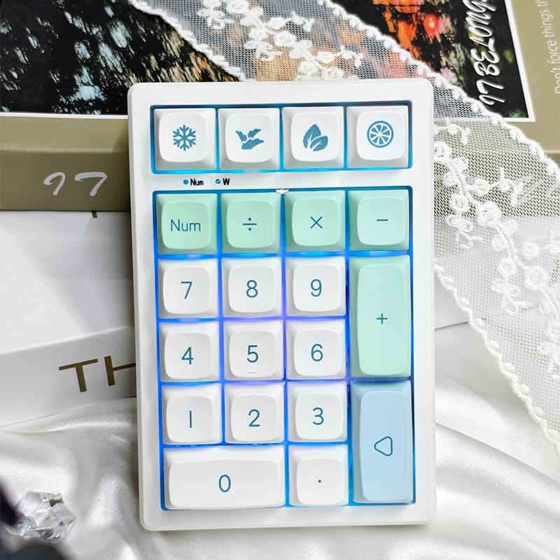 Boyi TD21 Hot Swap Numpad,21 Keys Mini Numpad Portable Keypad Bluetooth5.0/2.4G/Wired Number Pad Keyboard PBT Keycaps RGB Backlit Type-C Mini Keyboard (Mint XDA Keycaps) - Image 4
